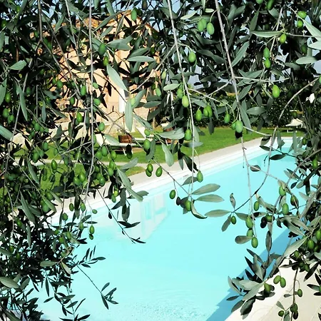 Casa vacanze Near Trasimeno With Pool Castiglione del Lago