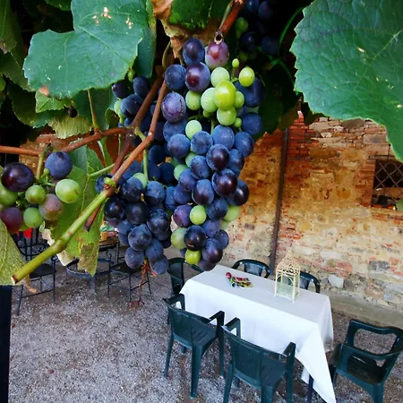 With Swimming Pool, Private Terrace Overlooking Pool Castiglione del Lago